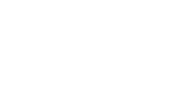Wishe Logo